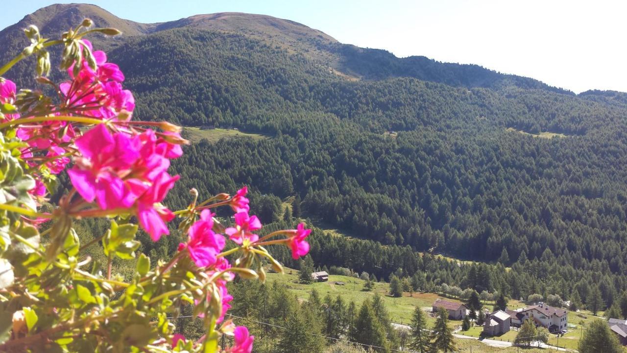 Отель Belvedere Mountain Experience Monno Экстерьер фото