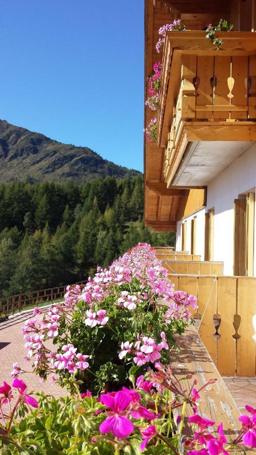Отель Belvedere Mountain Experience Monno Экстерьер фото