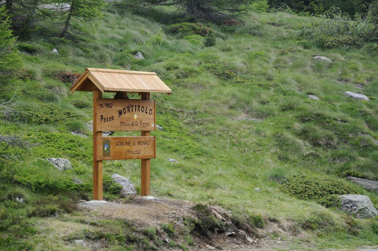 Отель Belvedere Mountain Experience Monno Экстерьер фото